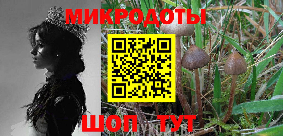Псилоцибиновые грибы GOLDEN TEACHER  Вход с VPN  Всеволожск 
